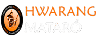 logo hwarang2